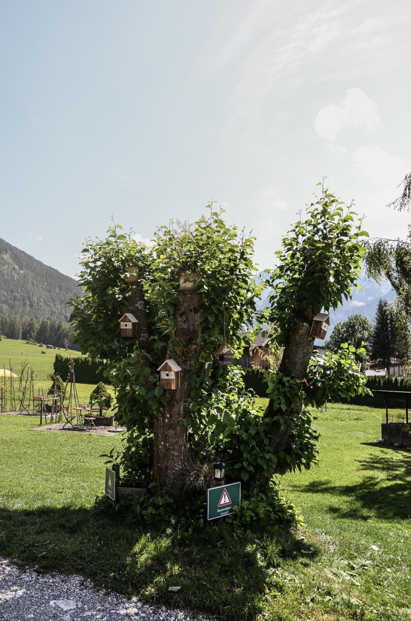 Hotel Ehrwalderhof Екстер'єр фото